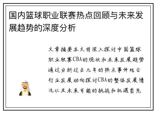 国内篮球职业联赛热点回顾与未来发展趋势的深度分析